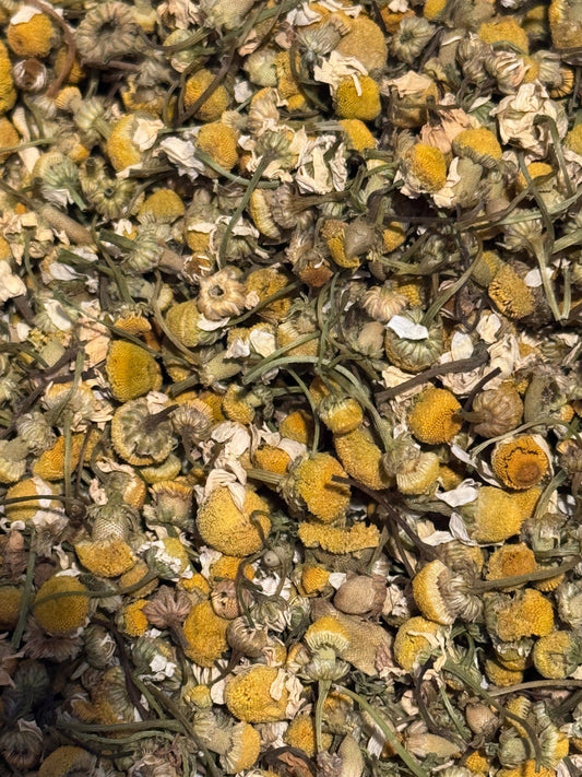 Camomile - Brockworth Tea Company