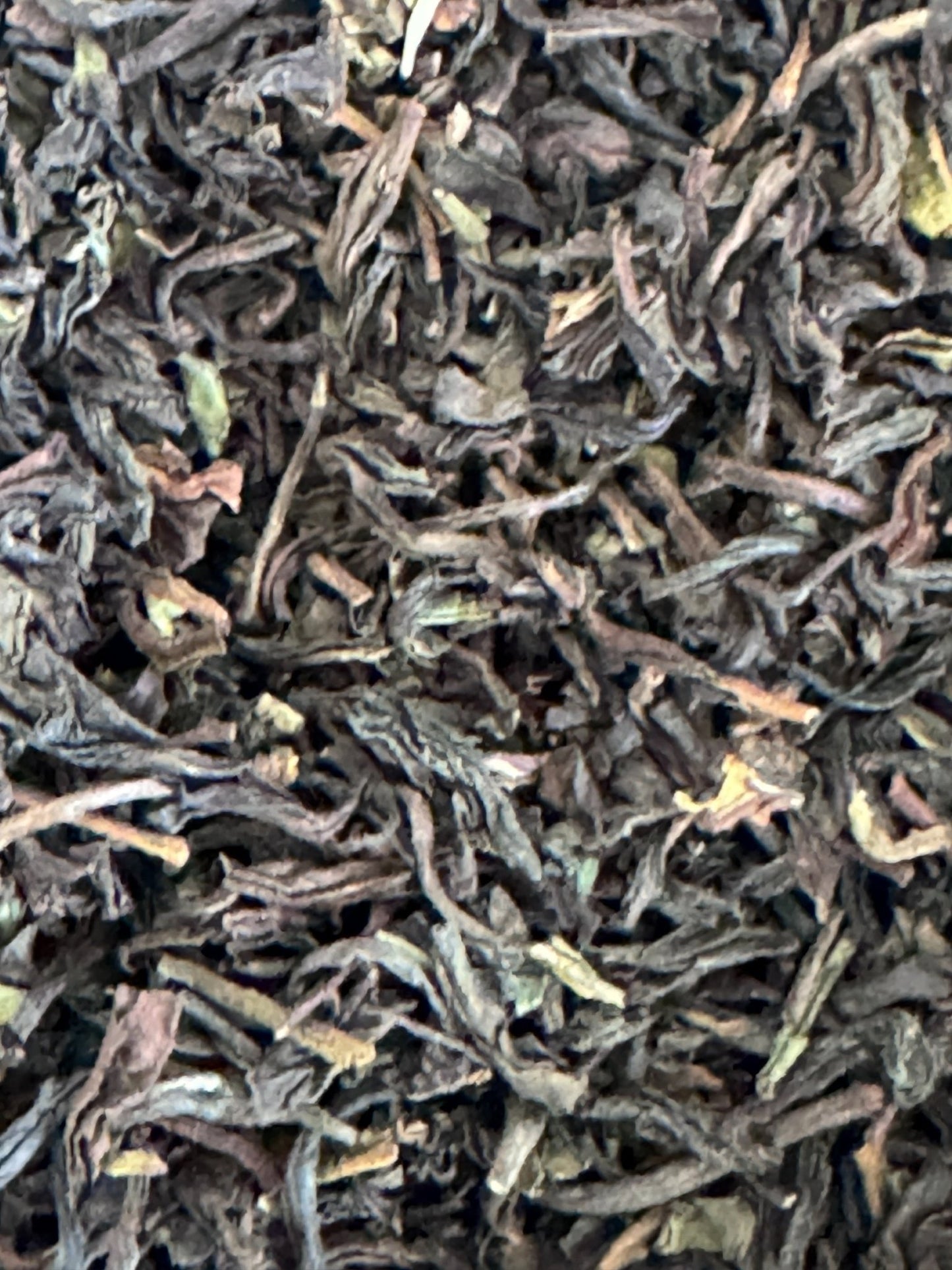 Darjeeling First Flush Single Estate TGFOP - 10g Sampler - Brockworth Tea Company