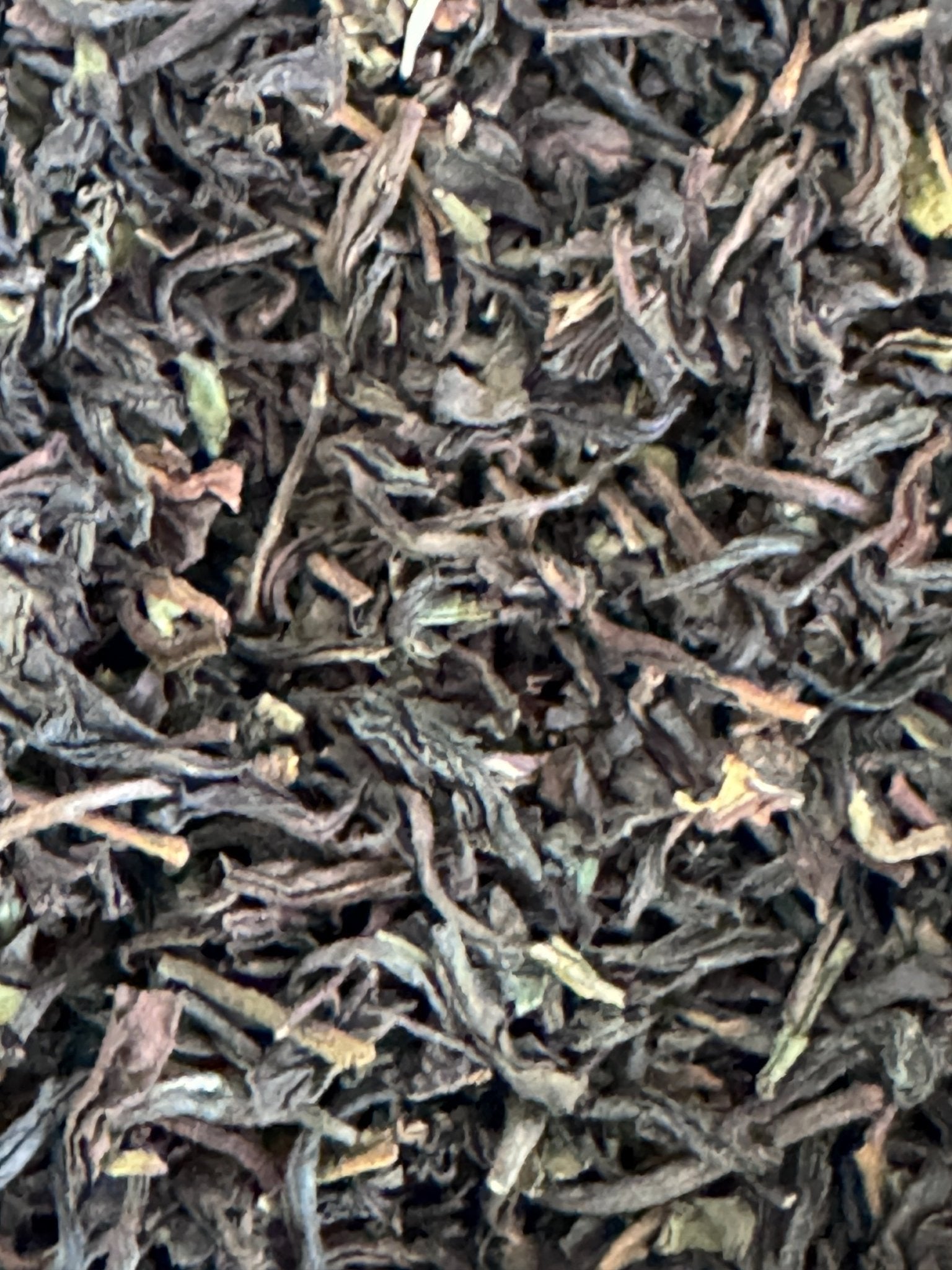 Darjeeling First Flush Single Estate TGFOP - 10g Sampler - Brockworth Tea Company